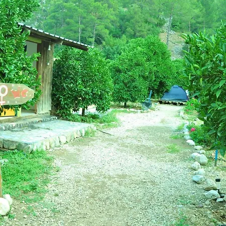 Cafe Cactus Camping * 安塔利亚